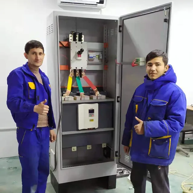 Good Quality 50Hz/60Hz 3 Phase 380V 500kw China Online Soft Starter for AC Motor Wind Generator